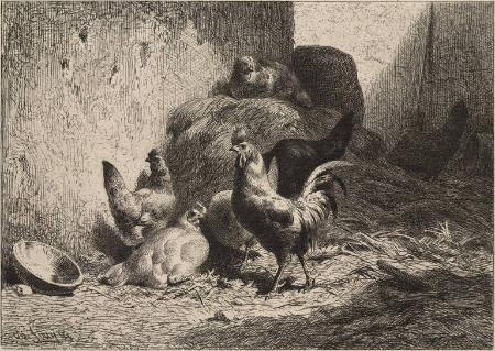 Coq et poules (Cock and Hens)