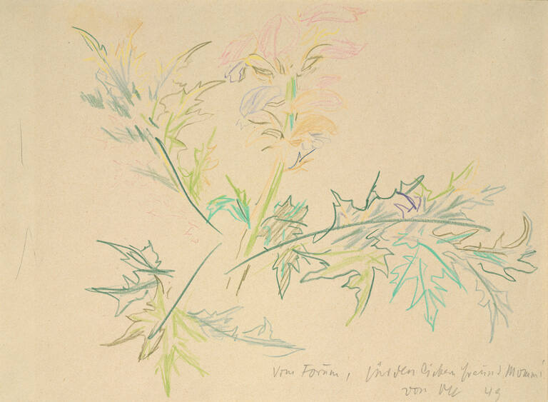 From the Forum in Rome