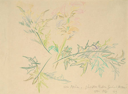 Oskar Kokoschka
