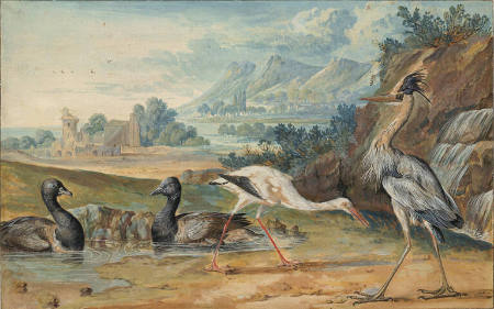 Four Shore Birds in a Landscape