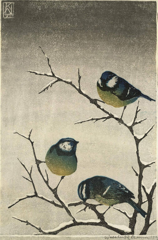 Blue Finches