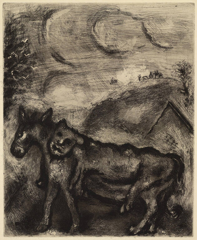 Ass in the Lion's Skin