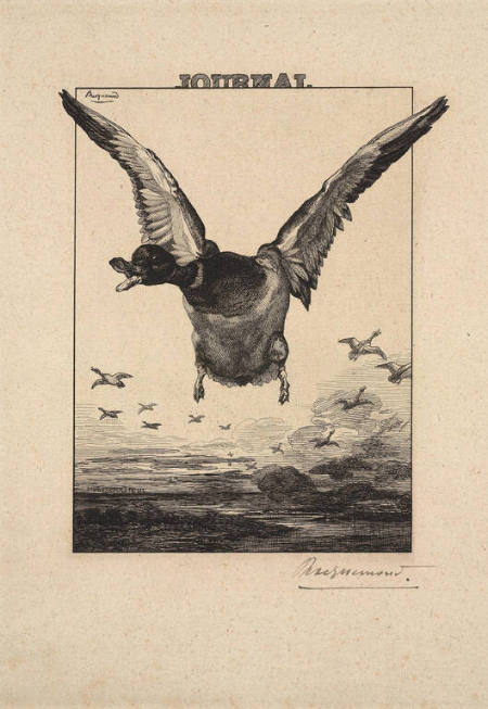 Le Canard