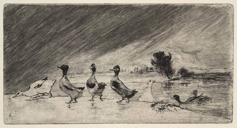 Il pleut à verse! (It is Raining Buckets!)