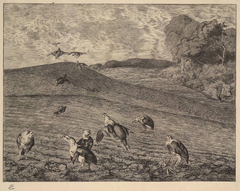 La Perdrix (Partridge)