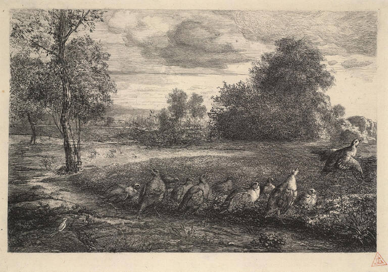 Eleven partridges, one of which is in Flight