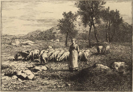 Troupeau de Porcs  [Herd of pigs], from the Grand Pastorale Series