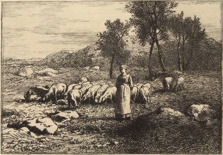 Troupeau de Porcs  [Herd of pigs], from the Grand Pastorale Series