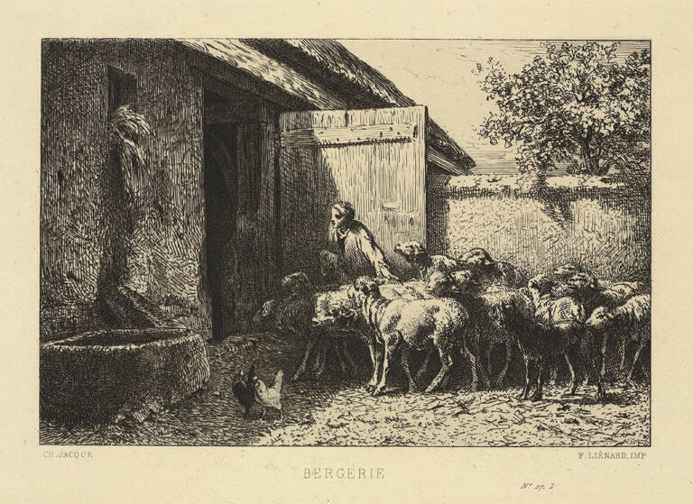 Bergerie [Sheepfold]