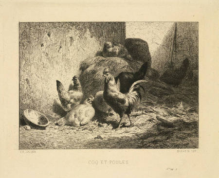 Coq et Poules [A rooster and chickens]