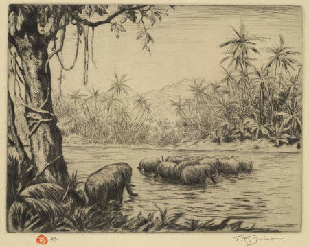 The Elephants, Ceylon