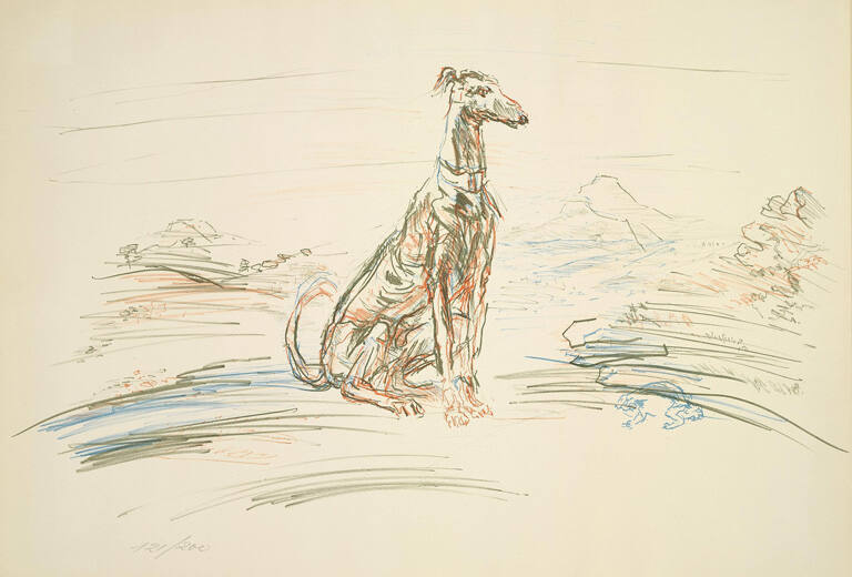 Dog looking at a Frog