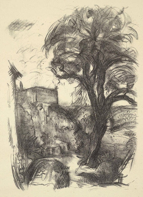 Landscape and Buildings