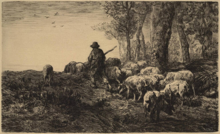 Troupeau de Porcs [Herd of Pigs]