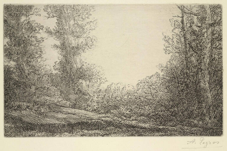 Lisière de Bois [Edge of the woods]
