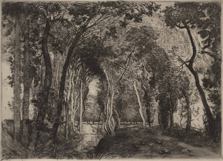 Sous Bois la Rigouette