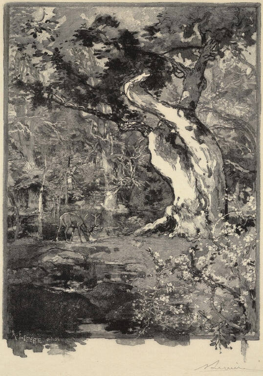 Le Clovis, Plateau de Bellecroix