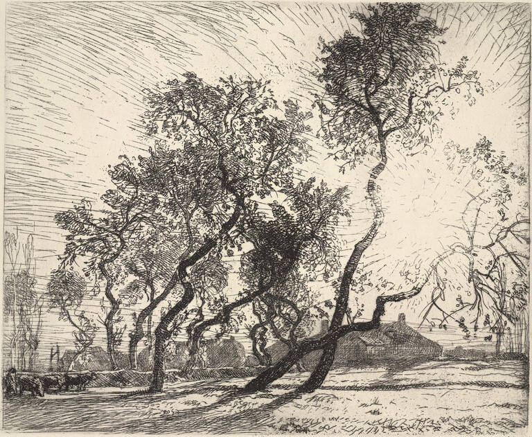 La ferme aux peupliers de Hollande