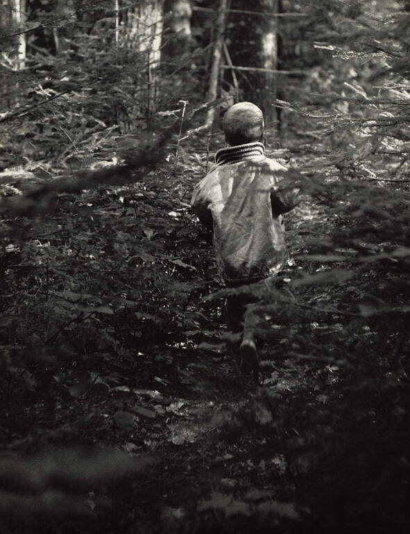 Boy walking among trees