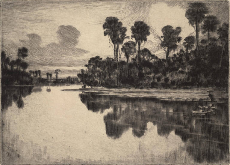 Caloosahatchie River Fla.