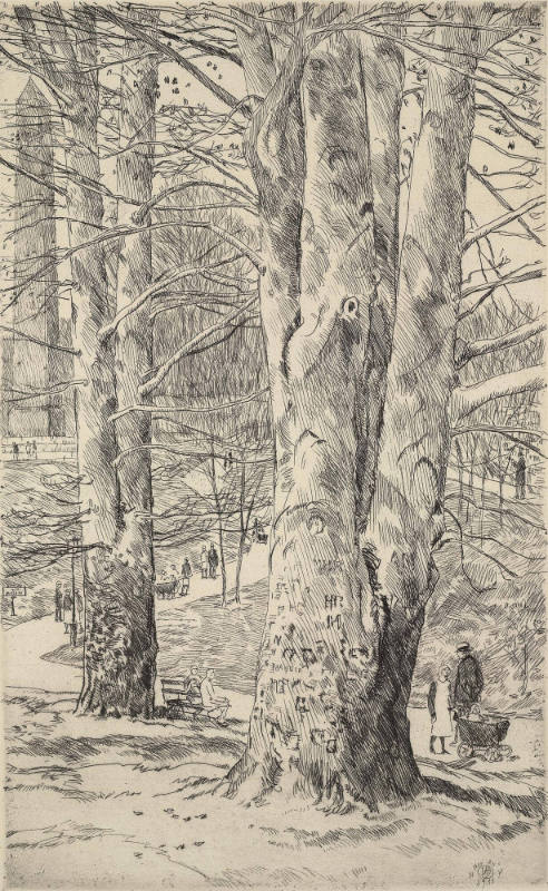 Beech Trees and the Obelisk, Central Park