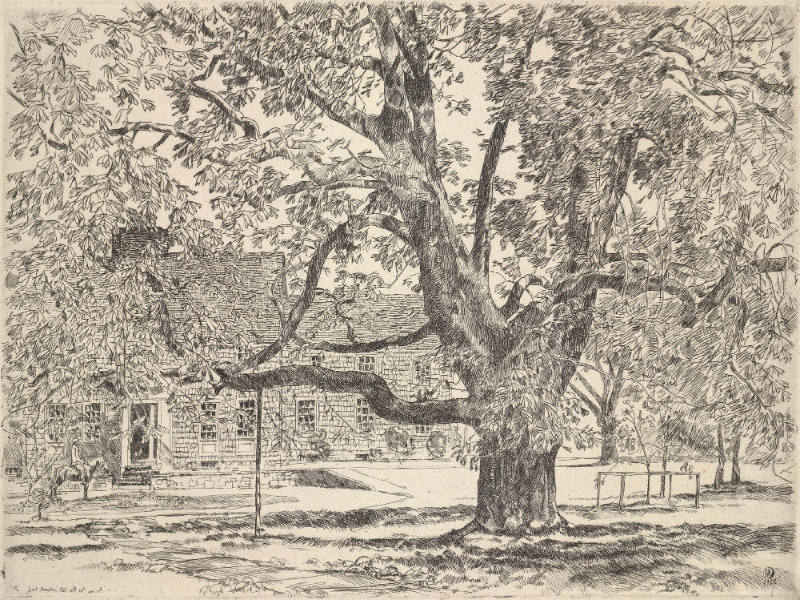 The Big Horse Chestnut Tree (Easthampton)