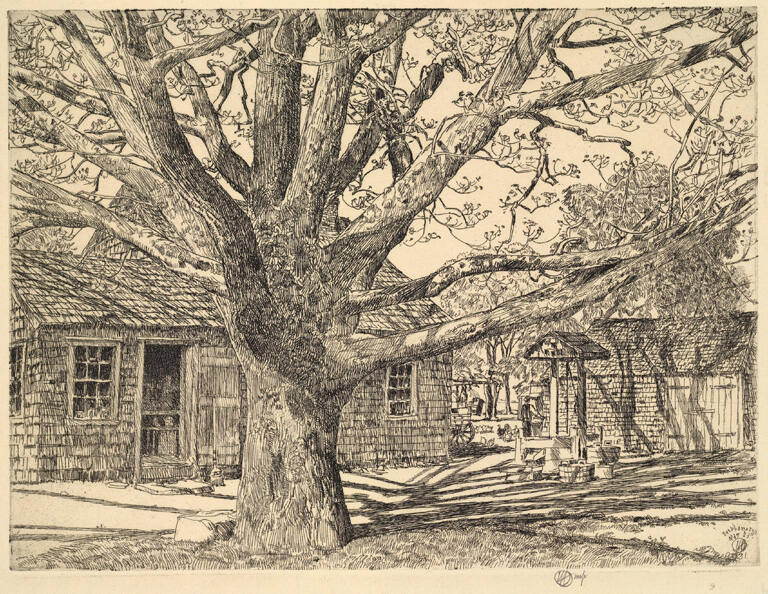 Oak and Old House in Spring (Easthampton)