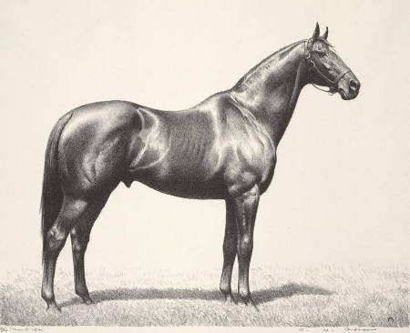 Man O' War