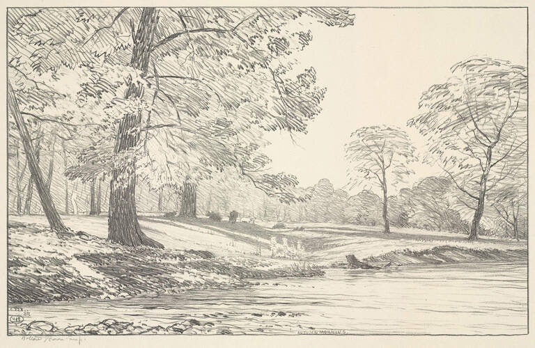 Autumn Morning