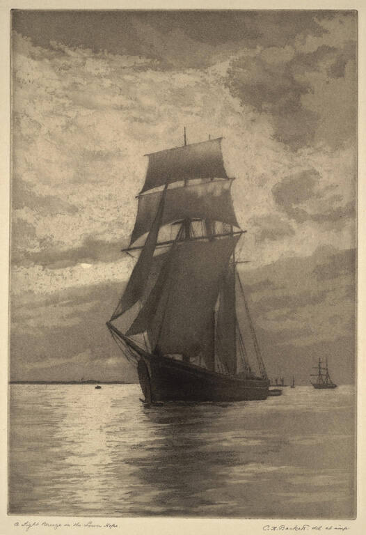 A Light Breeze in the Lower Hope