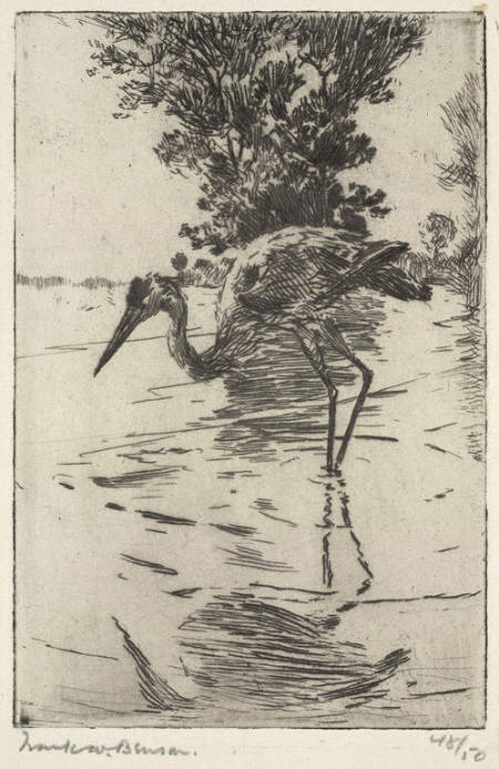 Blue Heron