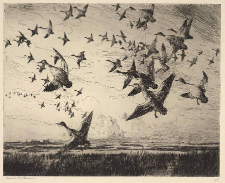 Morning Flight