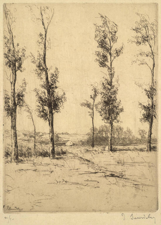 Les Grands Peupliers [Poplar trees]