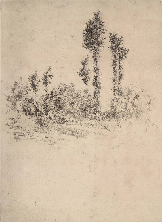 Unfinished Landscape