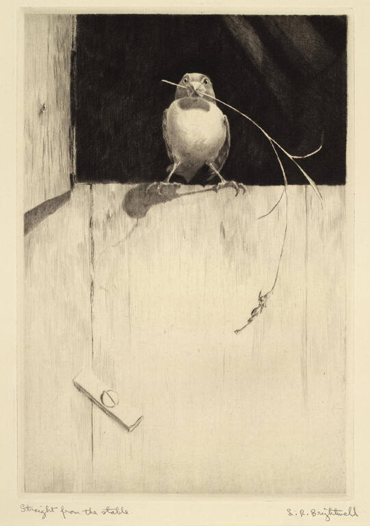 Straight from the Stable