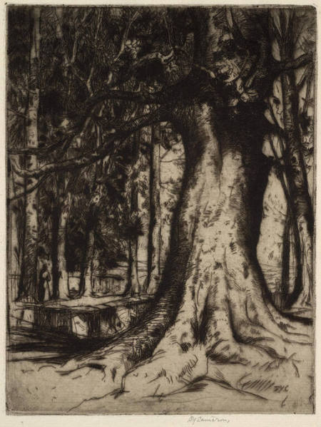 The Sycamore