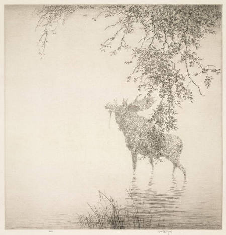 Shadows on the Agawa, No. 2