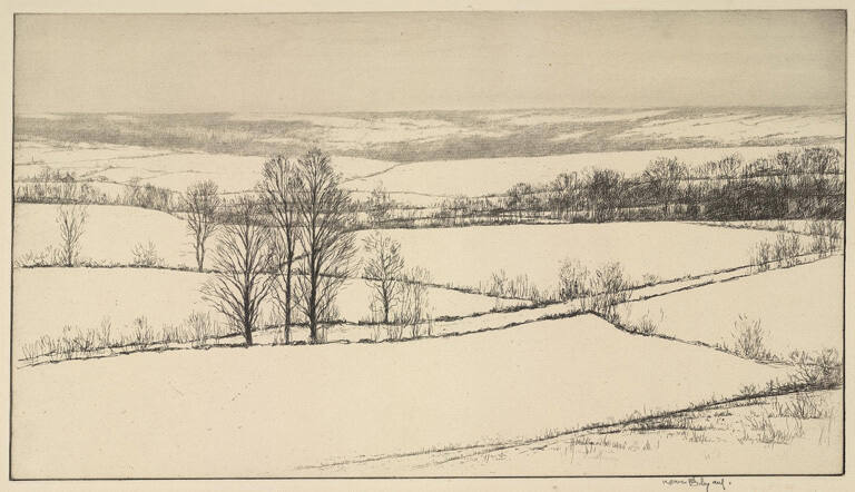 Snow Fields, Connecticut