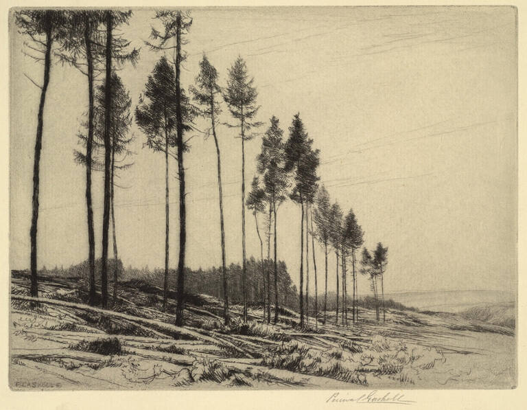 The Larchwood in Wartime