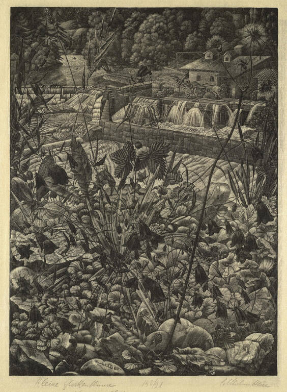 Kleine Glockenblume [Small Bellflower]