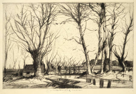 The Brook Winter