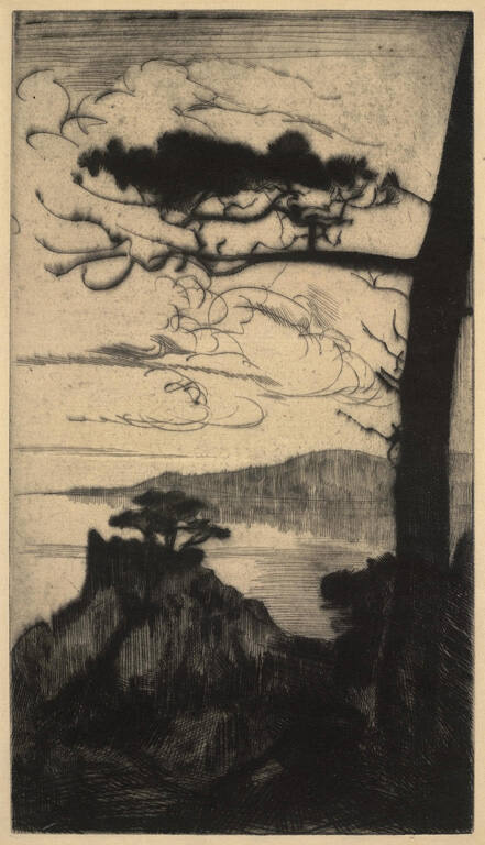 Dark Cypress and Bay