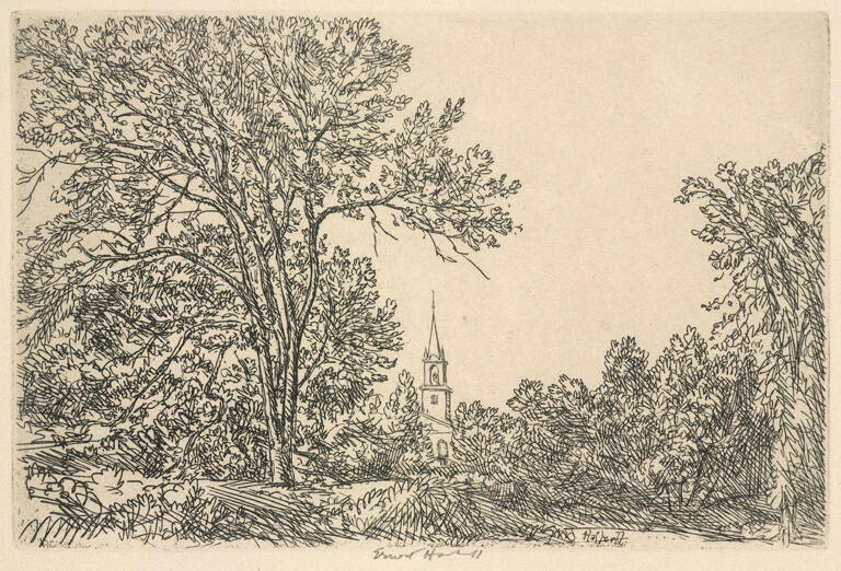 Church Spire beyond the Trees