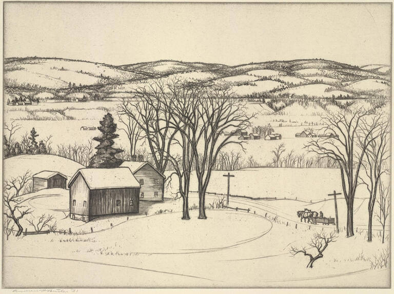 Corner of Mountain Meadow between Trees