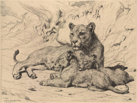 Lioness and Cubs