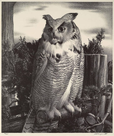 The Patriarch (Owl)