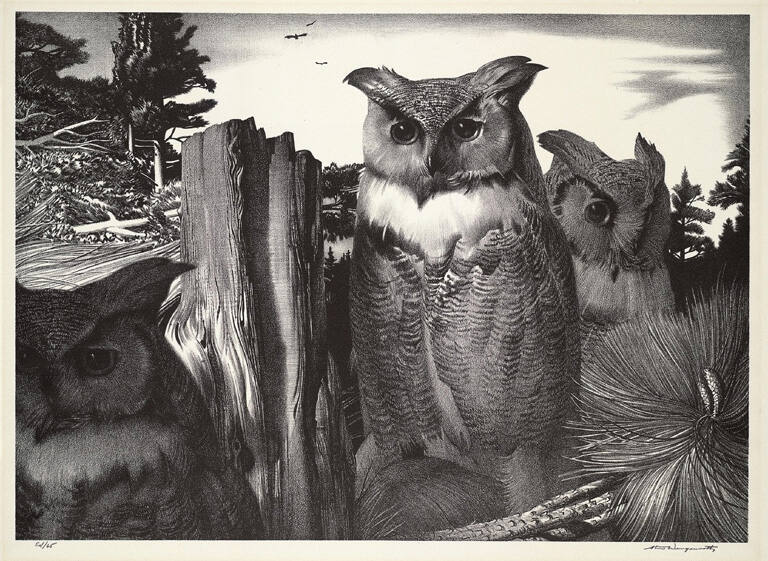 Three Owls