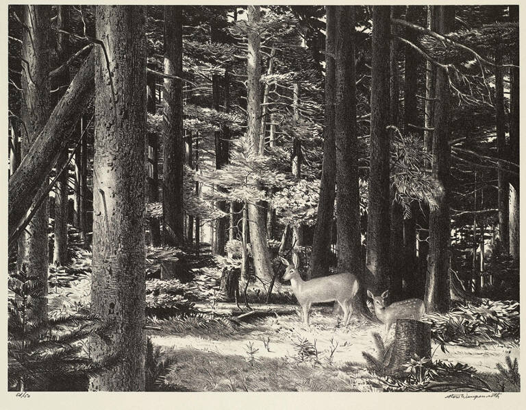 Sunlit Forest (with deer)
