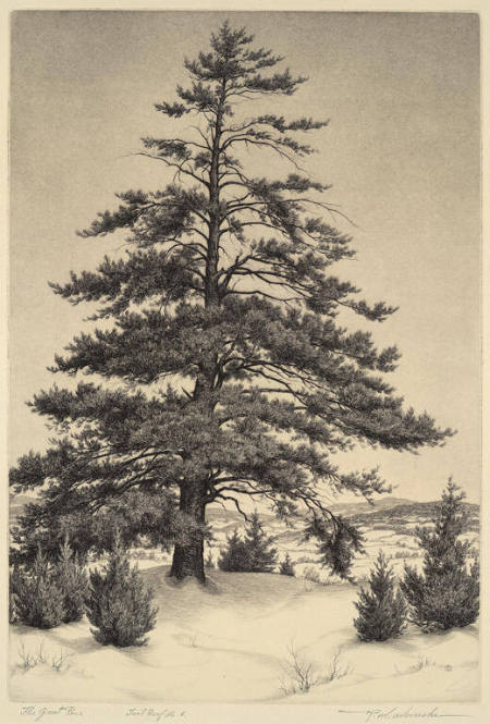 The Great Pine