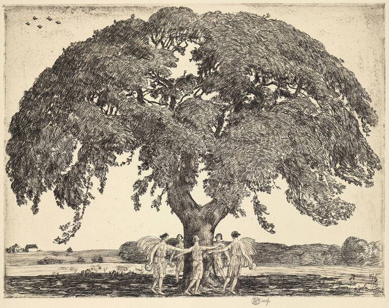 Nyssa Sylvatica (Big Pepperidge Tree at Bridgehampton, 1926)